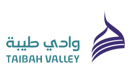 شركة وادي طيبة